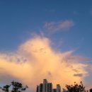 골프죤여기로 이미지