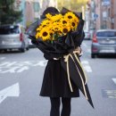 해바라기플라워 이미지