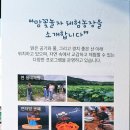 맘꽃 이미지