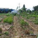 갯벌농장 이미지