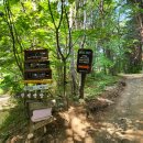 냉이꽃 민박 이미지