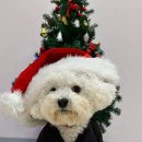 놀러오개 송파점 이미지