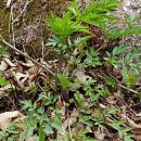 오장농장 이미지