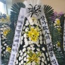 자인전문장례식장