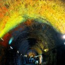 와인터널 이미지