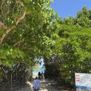 cafe 바람구름 | [겨울 미야코지마 4일차(2)] 아라구스쿠 비치/히가시헨나자키 전망대/LB Cafe