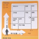 피노키오 복싱 이미지