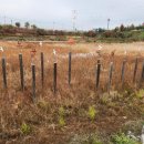 미사누리1호공원 이미지