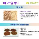 힐스템건강 팽성지점 이미지