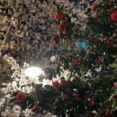 하남초정문2 이미지