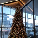 아트스테이지 플러스 | 라이브 온 스테이지 <라이프 오브 파이> 후기, 리뷰 / 박정민 회차, GS아트센터 3층 시야