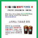 에클리츠