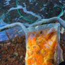 해평수산 | 통영에 싱싱한 수산물 구매후기 성도 수산에서 사봤어요