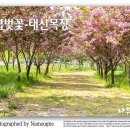 아름드리 목장 이미지