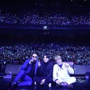 에스제이투어 - 서초구 강남대로 160-2 | 에스제이투어