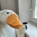 이브이야기 이미지