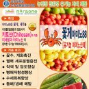 나라원 키토산 짱 ^^* 꽃게,새우아미노산 88 팝니당 (유기농자제 제품) 이미지