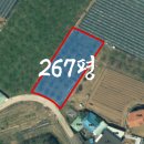 금호읍행정복지센터 이미지