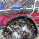 알맹이민박 이미지