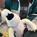 도안대로(유성-89) 이미지