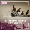 경산공룡박물관 | 국내 유일 자연유산 전문 전시관, 대전 천연기념물센터