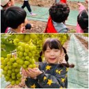 둥이농장 이미지