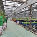 명정농장 이미지