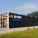 셀세모 금붕점 이미지