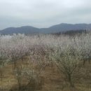 옥돌태권도장 이미지