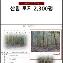 힌트부동산중개사무소 이미지