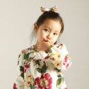 아이올 이미지