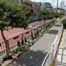 광영초등학교 이미지