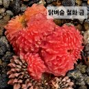 철화