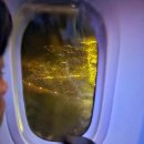 806 | 유나이티드항공 후기, 터미널, 앱, 수화물, 샌프란시스코 UA806 체크인, 기내식