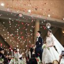 [본식스냅_더달콤한웨딩] 웨딩시그니처 어두운홀 본식스냅/아이폰스냅/본식DVD 한번에/가성비스냅/최대...