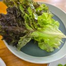 세곡-102 | 세곡동 부모님 모시고 가기 좋은 식당 바다가득 칼국수 솔직후기