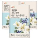(주)코스트코코리아(일산점) | 🛒 코스트코코리아 일산점 방문후기 + 영업시간·휴무일 안내 · 추천제품 · 매장 동선 TIP · 생미쉘...