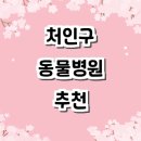 천리드림세탁소 | 용인 처인구 동물병원 추천 잘하는곳 24시 후기 야간진료 주말 가격 비용