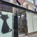 보광동물병원 이미지