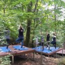 용인자연휴양림 이미지