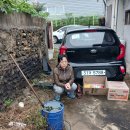 시티이용소 이미지