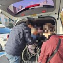 광주광역시교통약자이동지원센터 | 새빛콜_광주 교통약자 이동지원 서비스 사용 후기