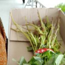 와부농업협동조합경제사업소 이미지