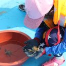 남용호좌대 이미지