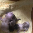 메이동동 이미지