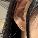 1445 | 스톤헨지 귀걸이(SC1445T)내돈내산