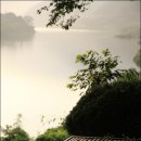 더미소국수 이미지