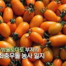 대룡농장 네이버블로그
