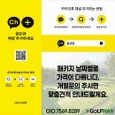 지성인골프
