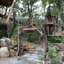 숲속트리하우스 이미지